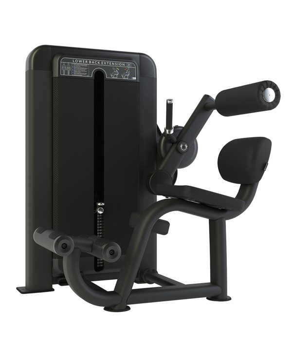 Club Line Lower Back Extension Weight Stack Tower - 1
