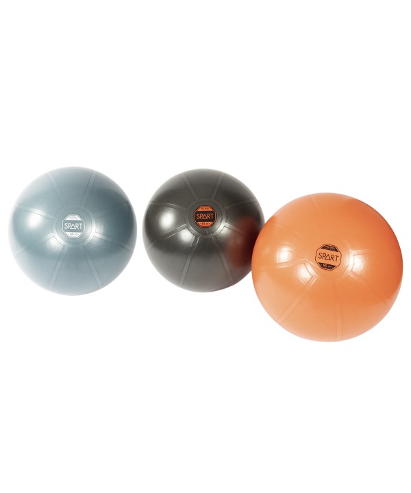 Pro Exercise Ball