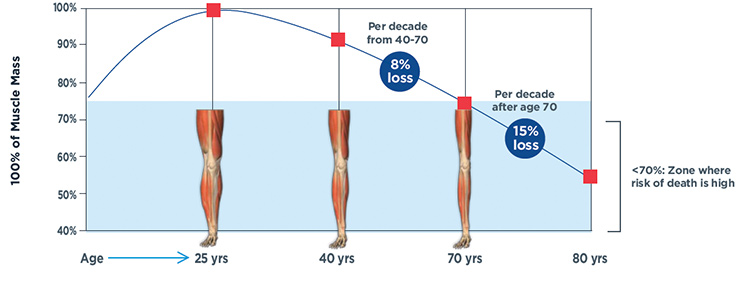 A graph showing muscle loss as we age